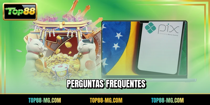 Perguntas frequentes