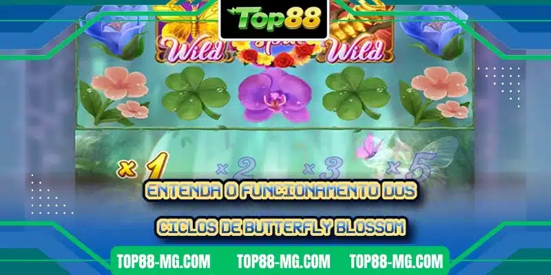 Entenda o funcionamento dos ciclos de Butterfly Blossom